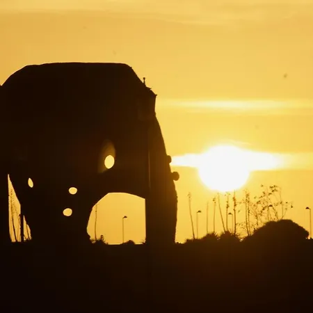 The Volcano's Land, Perfect For Relaxing Getaway * La Oliva