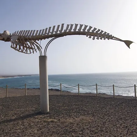 The Volcano's Land, Perfect For Relaxing Getaway