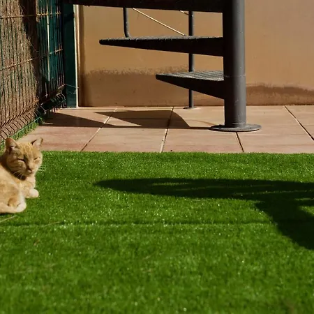 Holiday home The Volcano's Land, Perfect For Relaxing Getaway La Oliva